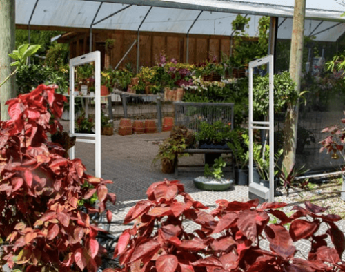 cong-tu-an-ninh-sensormatic-synergy-2.5m-outdoor-abs-pedestal