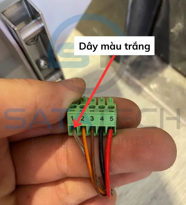 Đấu nối dây tín hiệu trắng 